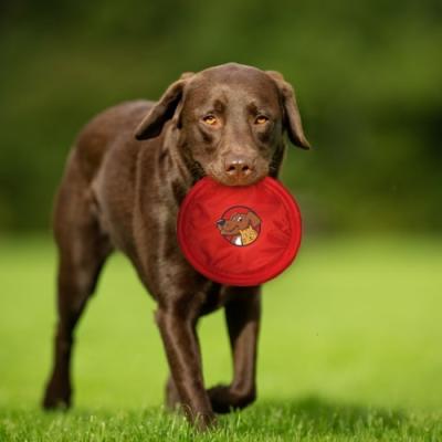 Promotional Pet Products